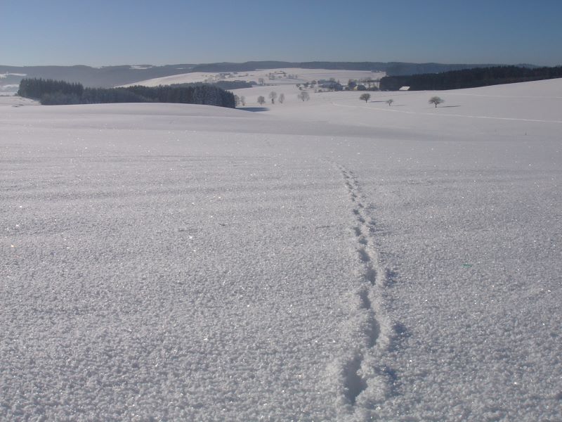 XSki_DSC00347_Sparkling.jpg