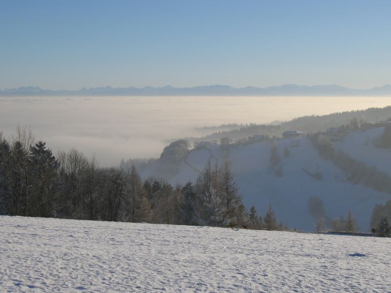 XSki_cps6_6151_PerfectView.jpg