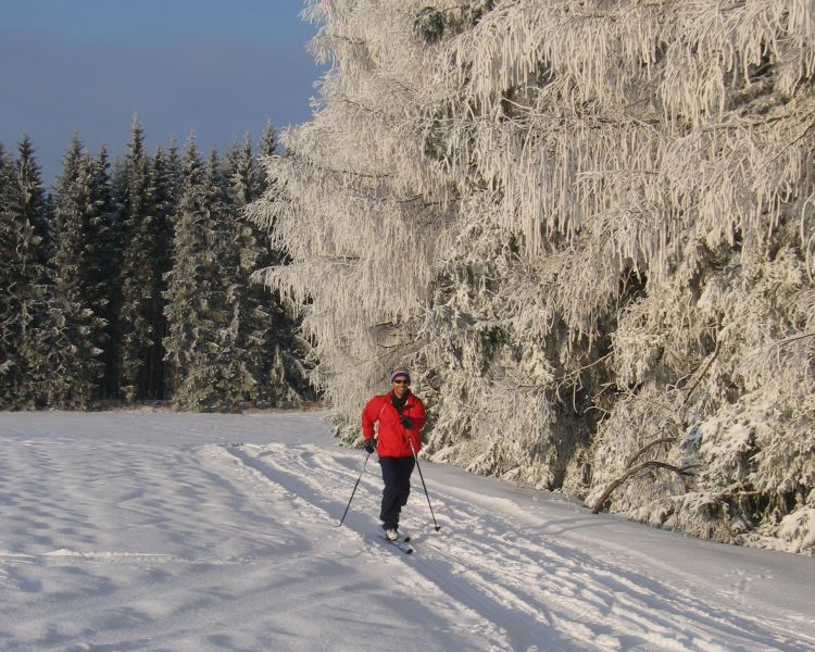 XSki_cps6_6213_Thomas_XCountry.jpg